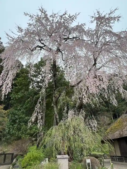 高麗神社(埼玉県)