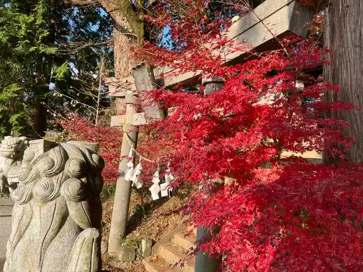 若宮八幡神社(山梨県)