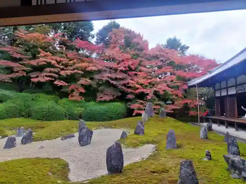 光明院（光明禅院）(京都府)