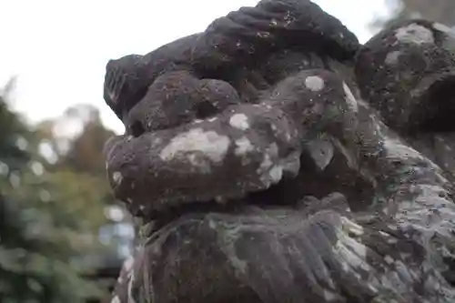 熊野神社の狛犬