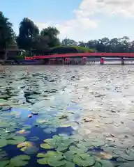 秋葉神社の建物その他