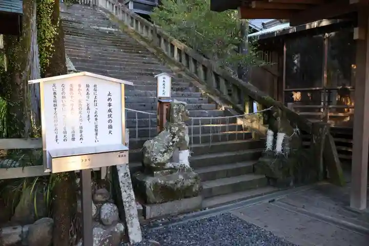 鎮西大社諏訪神社(長崎県)