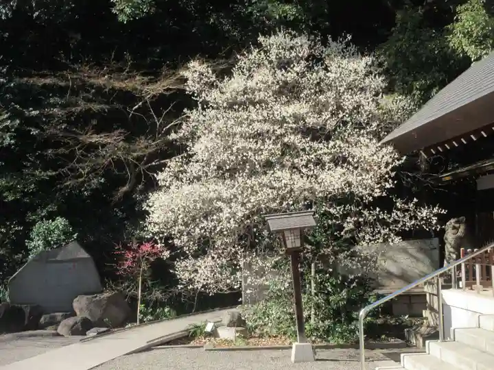乃木神社(東京都)