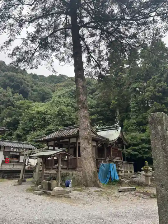 白山比咩神社(山口県)