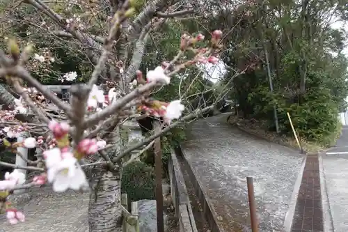 新屋坐天照御魂神社の自然