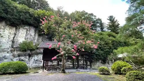 正法寺(埼玉県)