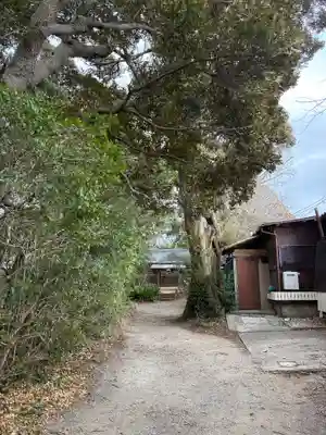 子安神社(千葉県)