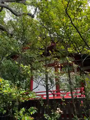 稲毛浅間神社の{uncategorized: "未分類", other: "その他", undefined: "問題あり", building: "その他建物", grave: "お墓", sacred_gate: "鳥居", guardian: "狛犬", statue: "像", buddha: "仏像", history: "歴史", nature: "自然", garden: "庭園", animal: "動物", pagoda: "塔", temizu: "手水舎", mountain_gate: "山門・神門", sanctuary: "本殿・本堂", subordinate: "末社・摂社", art: "芸術", scenery: "景色", jizo: "地蔵", ema: "絵馬", goshuin: "御朱印", omikuji: "おみくじ", items: "授与品その他", amulet: "お守り", goshuincho: "御朱印帳", eats: "食事", festival: "お祭り", votive_dance: "神楽", shichigosan: "七五三参", wedding: "結婚式", experience: "体験その他", initially: "初詣", around: "周辺", anti_infection: "感染症対策"}