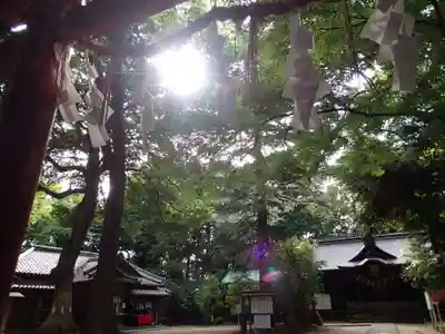 氷川女體神社のその他建物