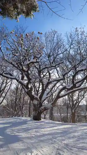 相馬神社(北海道)