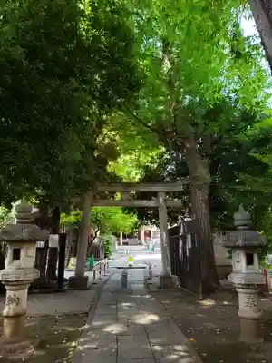 荻窪白山神社の鳥居