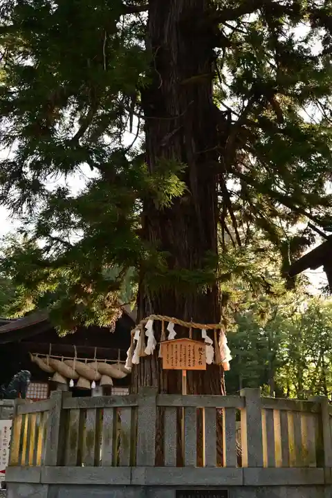 諏訪大社下社秋宮(長野県)