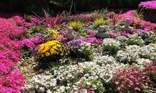 寿量山　速成寺の庭園