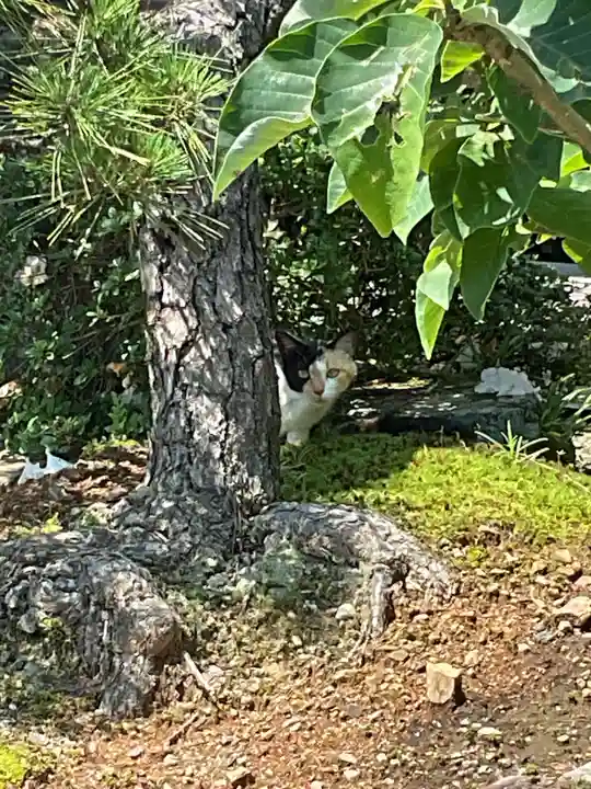 大仙寺(岐阜県)