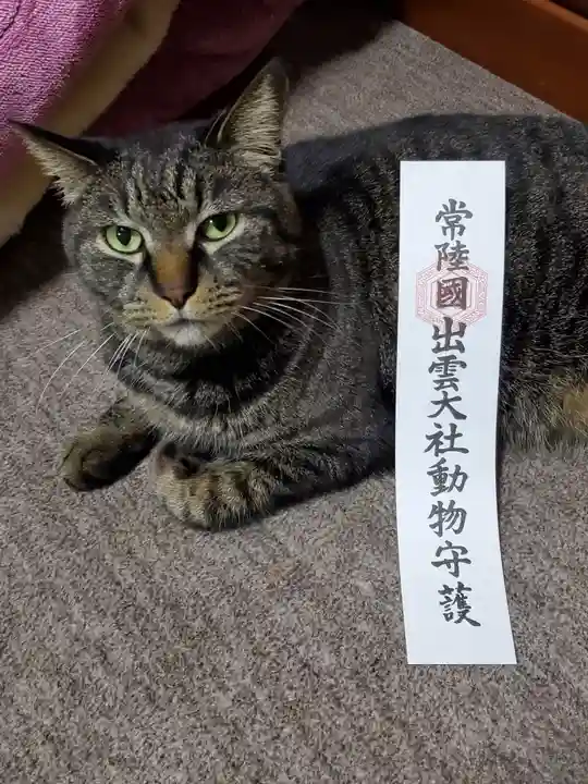 常陸国出雲大社の動物