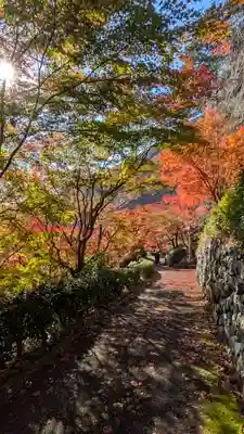 善峯寺(京都府)