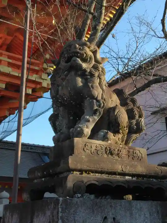 八坂神社(祇園さん)の狛犬
