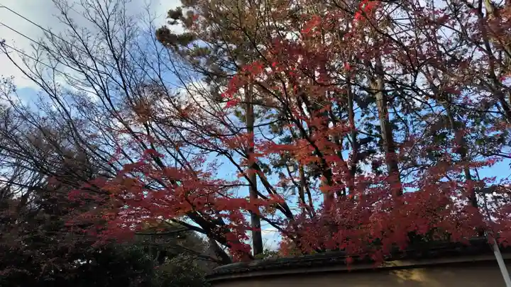 霊源院(京都府)
