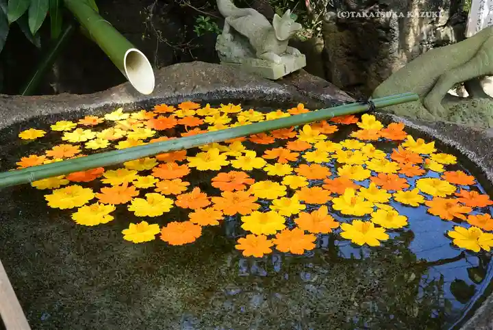 東京羽田 穴守稲荷神社(東京都)