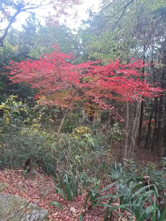 羅漢寺(大分県)