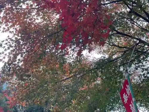 関善光寺(岐阜県)
