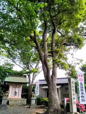 愛知用水神社の自然