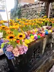 福島八幡宮(福岡県)