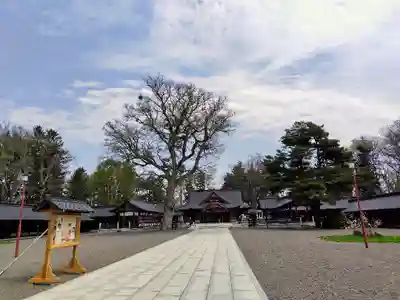 北海道護國神社の本殿・本堂