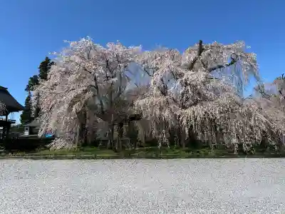 安養寺の{uncategorized: "未分類", other: "その他", undefined: "問題あり", building: "その他建物", grave: "お墓", sacred_gate: "鳥居", guardian: "狛犬", statue: "像", buddha: "仏像", history: "歴史", nature: "自然", garden: "庭園", animal: "動物", pagoda: "塔", temizu: "手水舎", mountain_gate: "山門・神門", sanctuary: "本殿・本堂", subordinate: "末社・摂社", art: "芸術", scenery: "景色", jizo: "地蔵", ema: "絵馬", goshuin: "御朱印", omikuji: "おみくじ", items: "授与品その他", amulet: "お守り", goshuincho: "御朱印帳", eats: "食事", festival: "お祭り", votive_dance: "神楽", shichigosan: "七五三参", wedding: "結婚式", experience: "体験その他", initially: "初詣", around: "周辺", anti_infection: "感染症対策"}