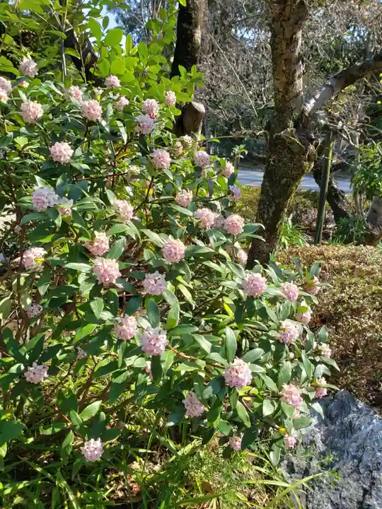 布多天神社(東京都)