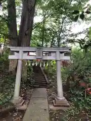 氷川神社の鳥居