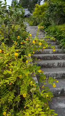 善峯寺(京都府)