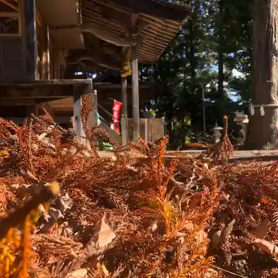 高司神社〜むすびの神の鎮まる社〜(福島県)