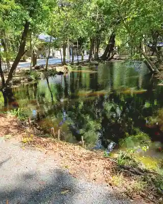 諏訪八幡神社の庭園