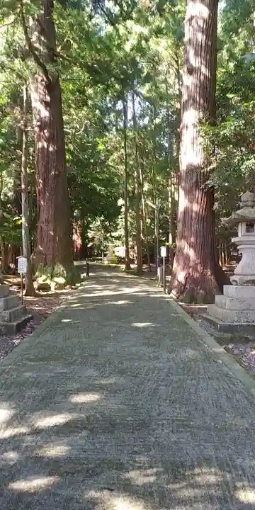 若狭彦神社(上社)のその他建物