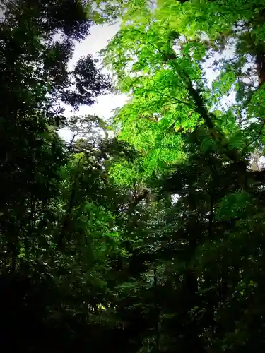 鹿島神宮(茨城県)