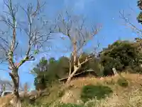 山王堂(千葉県)