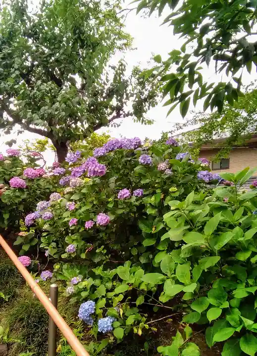 二十三夜尊 桂岸寺の自然