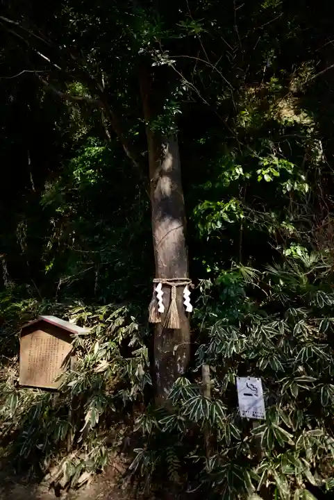 高瀧神社(千葉県)