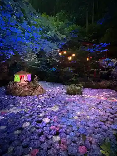 南蔵院(福岡県)