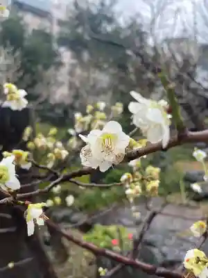 湯島天満宮(東京都)