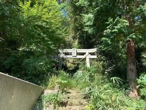 蔵王神社の鳥居