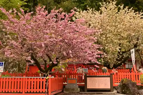 金櫻神社(山梨県)