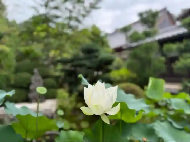 龍潭寺(静岡県)