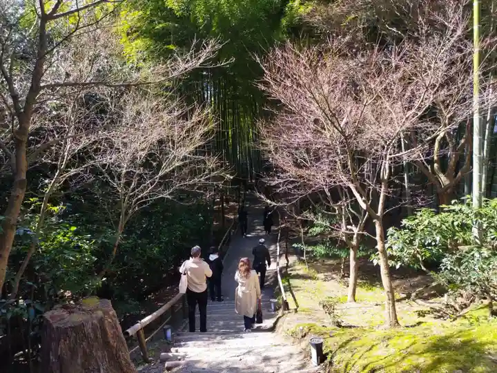 高台寺(高台寿聖禅寺・高臺寺)(京都府)