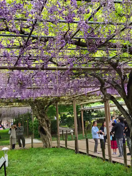 曼陀羅寺の庭園