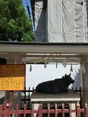 亀戸天神社(東京都)