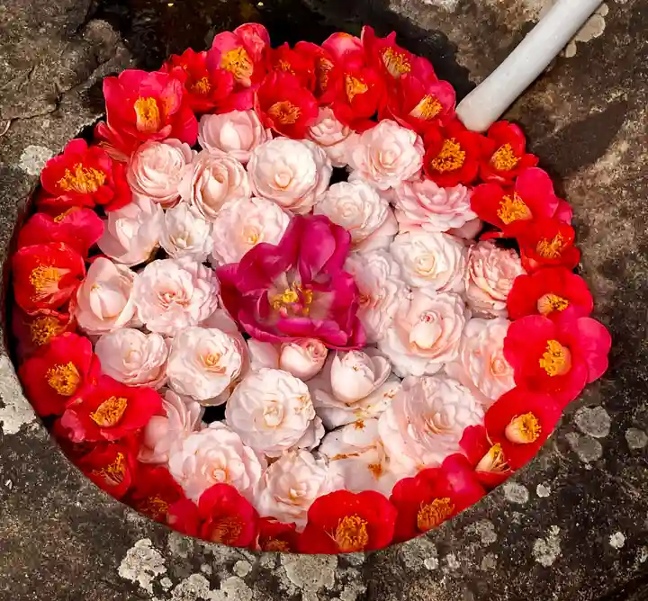 真言宗 善通寺派 薬王寺(香川県)