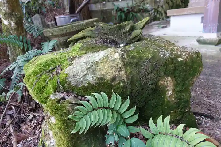 湯泉神社の自然