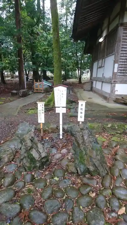 若狭姫神社(若狭彦神社下社)のその他建物